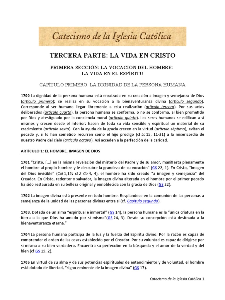 Catecismo de La Iglesia Católica | PDF | Pecado | Gracia en el cristianismo