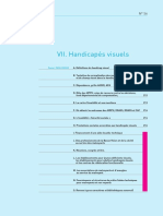 2010 6164 Handicap Visuel PDF