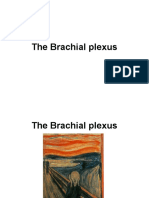 Old Brachial