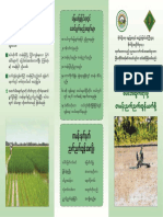 စပါးမအတွက် မန်းညက်ညက်.pdf