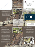 Management of Lichens in Apple