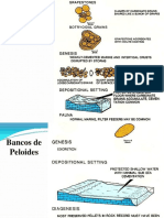 03_carbofabian_40.pdf