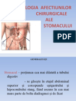 Stomacul.ppt