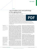(Kondratova & Kondratov, 2012) The circadian clock and pathology of the ageing brain