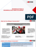 Enfoques Transversales.pdf