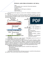 Transcription and Processing of Rna: The Steps of Gene Expression in Prokaryotic Cells: DNA