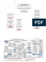 PATHWAY ASD VSD