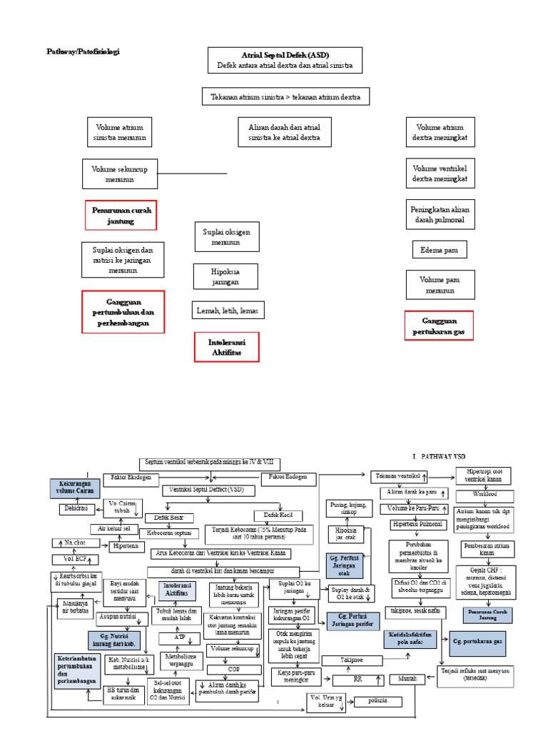 Patofisiologi Atrial Septal Defek Anak | PDF