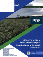 Agrosav/A: Nueva Variedad de Yuca Industrial para La Orinoquía