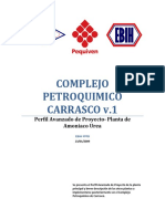 Perfil Carrasco V (1) .1 PDF