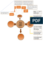 Mapa Conceptual