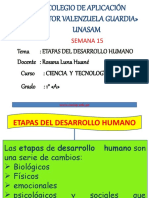 Etapas Del Desarrollo Humano