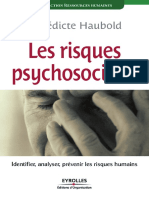 Les Risques Psychosociaux PDF