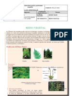 REINO VEGETAL: CLASIFICACIÓN Y CARACTERÍSTICAS DE LAS PLANTAS