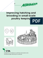 Improving Hatching and Brooding in Small-Scale Poultry Keeping