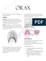 Torax Imednotes