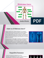 Sistema Oseo y Muscular Anatomía