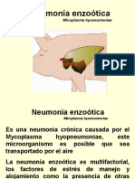 8 Neumonia Enzootica