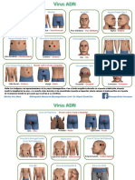 Puntos de Rastreo Virus ADN.pdf