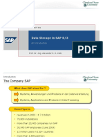 Data Storage in SAP (IST 331)