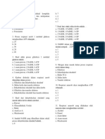 Metabolisme II