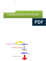 Formación de Proteinas