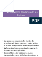 Metabolismo Oxidativo de los Lípidos.pptx