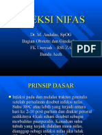 infeksi nifas aceh