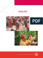 Fao Poultry Stunning PDF