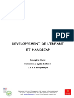 Developpement de L Enfant Et Handicap