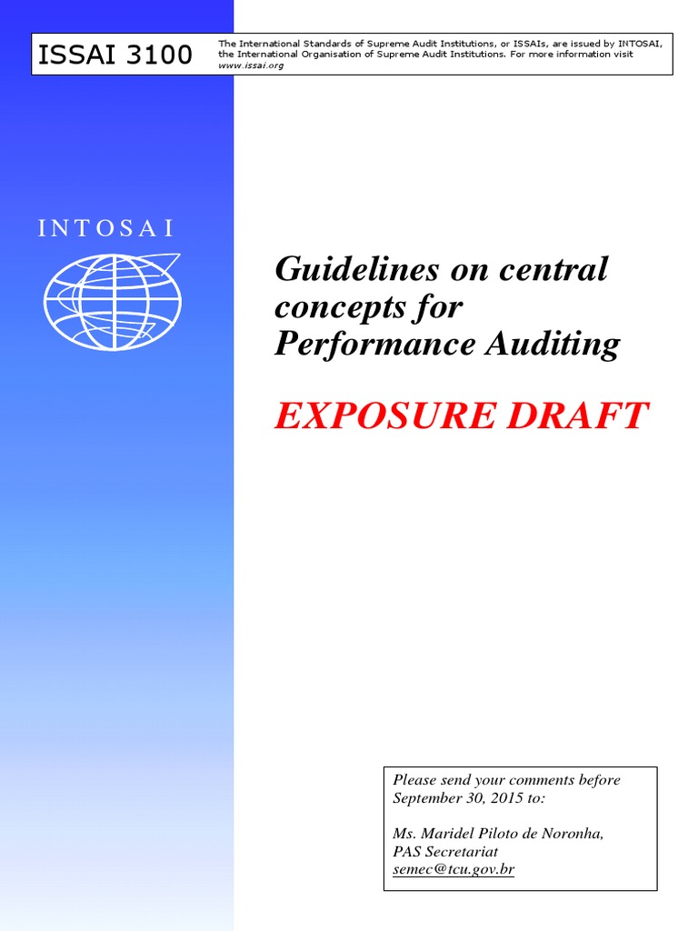 ISSAI 3100: Performance Auditing Concepts | PDF | Audit | Economics