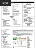 Download US Government Cheat Sheet by Angela Cunningham SN4695752 doc pdf