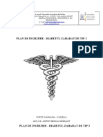 Plan de Ingrijire Diabetul Zaharat Tip2