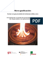 Micro Gasificacion PDF