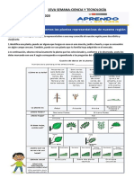 16 de Julio PDF