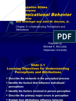 Understanding Perceptions and Attributions in Organizational Behavior
