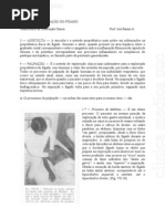 Exame Fisico - Abdomen Ausculta e Palpacao Figado Puc Txt