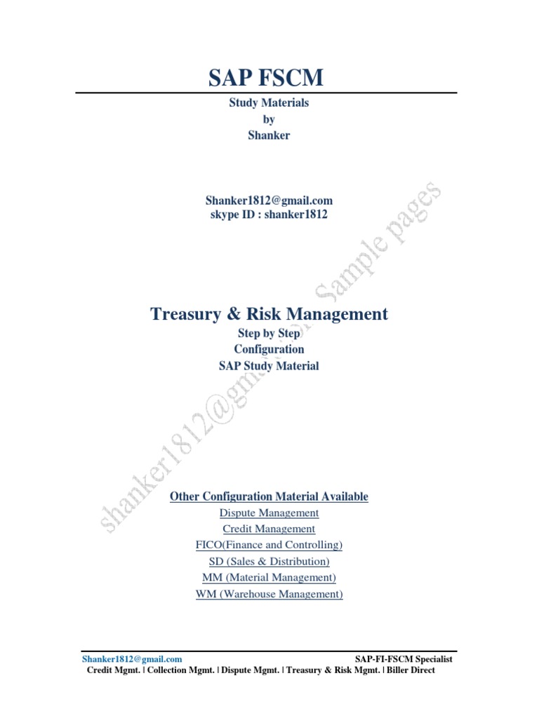 SAP TRM Configuration Guide PDF Financial Transaction Derivative