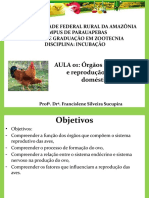Aula 01 - Órgãos reprodutivos e reprodução de aves domésticas