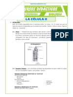 La-Celula-2-para-Quinto-de-Secundaria