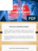 Sistema Respiratorio