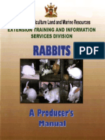 Rabbit - Manual PDF