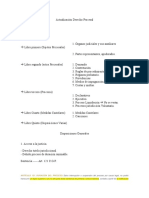 Actualización Derecho Procesal- tablero PCE.pdf