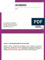 12.1 Mucopolisacáridos - Revisión de Conceptos PDF