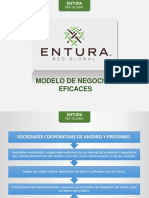 Modelo de Negocios Eficaces - Luis PDF