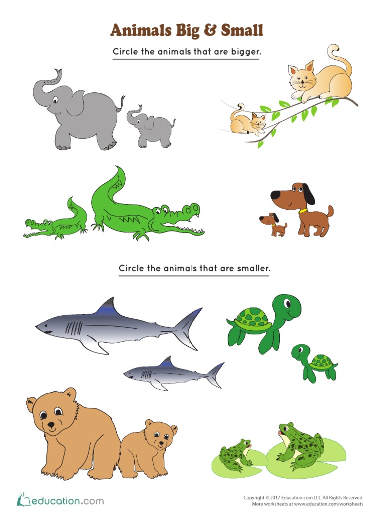 Animals Big & Small: Circle The Animals That Are Bigger | PDF