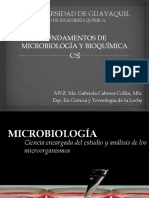 1 MICROBIOLOGIA ALIMENTOS