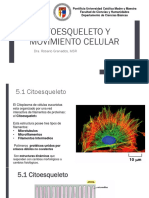 5 - Citoesqueleto y Movimiento Celular PDF