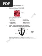 Form 4 Biology (Chapter 2: Cell Structure & Cell Organisation) | PDF ...