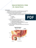 Patologia de Prostata y Pene